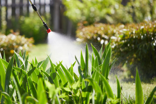Tamper-Resistant Bait Stations for Rodents in Bath