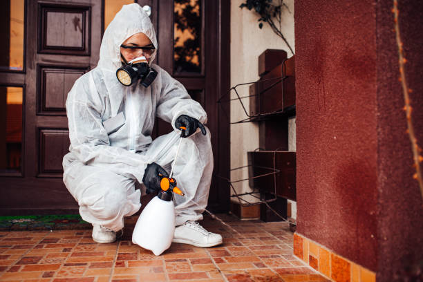 Attic and Crawl Space Rodent Treatment in Bath